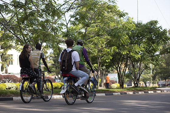Cyclists riding a tree-lined avenue in Kigali